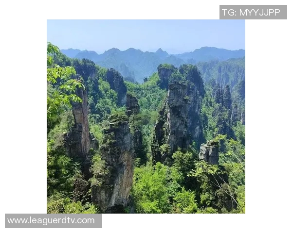 足球明星张家界探秘之旅与自然风光的完美融合